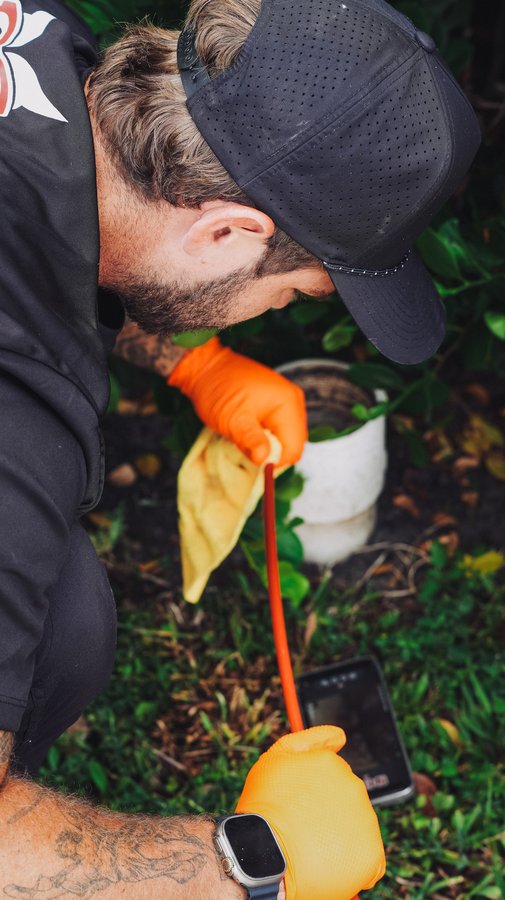 Drain inspection at cleanout access point